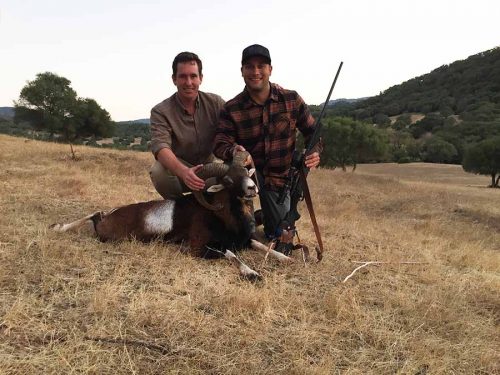 Mouflon sheep hunting in Spain cadiz ram hunt iberian