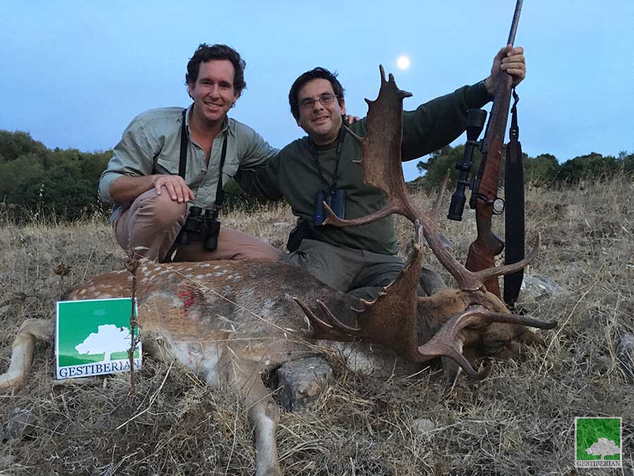 fallow deer stalking hunting in Spain hunt buck cadiz